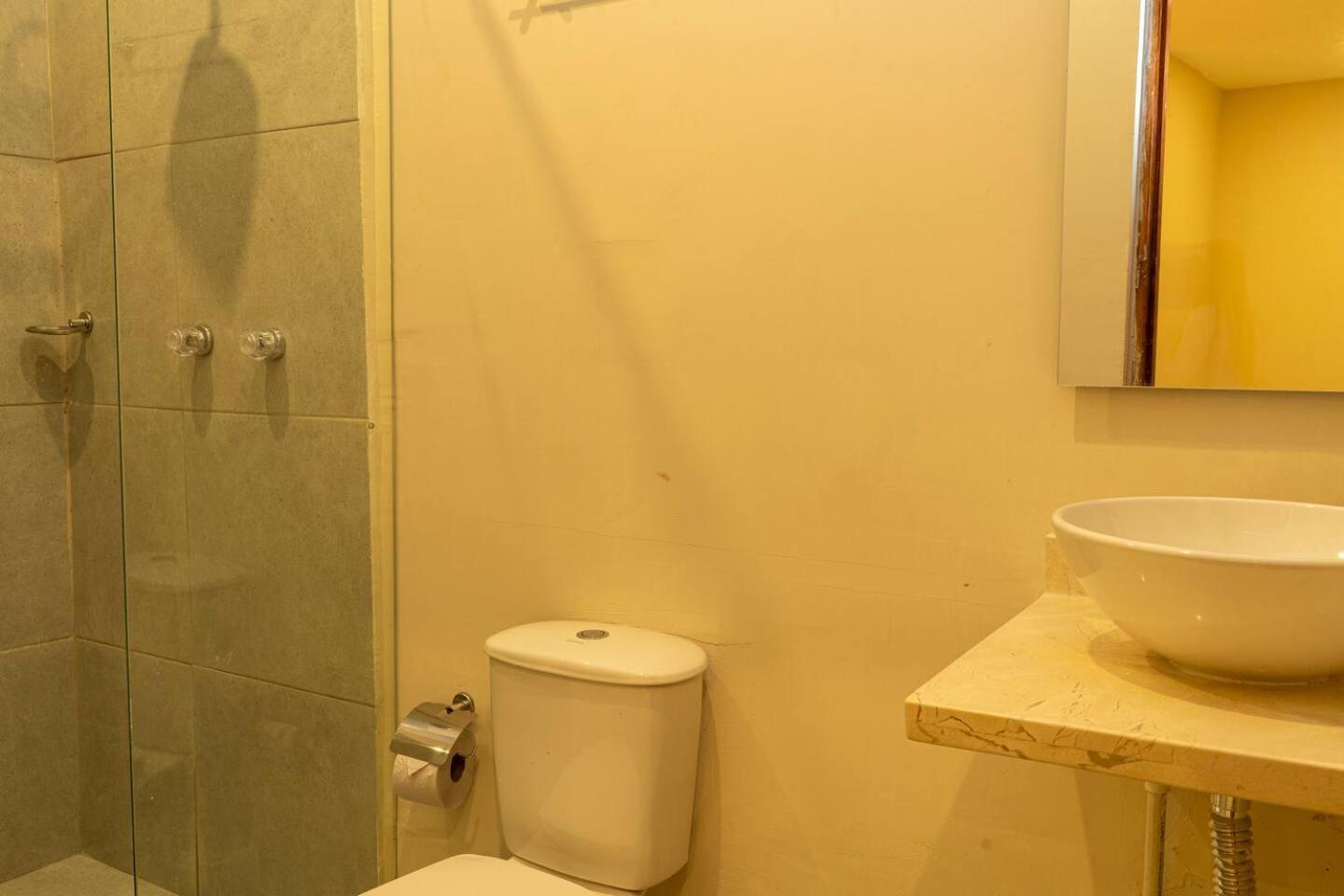 Apartment Apto Moneda 5 Colonial Charm Jacuzzi In The Heart Of *